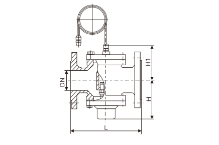 自力式壓(ya)差控制閥(圖1)