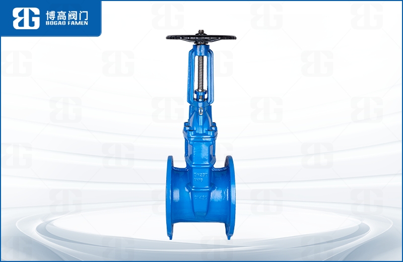 明杆彈(dàn)性座封(feng)閘閥