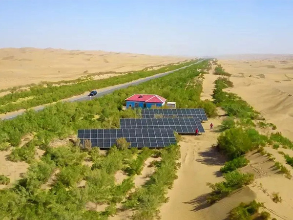 塔裏木油田(tián)綠色“光”景無(wú)限好