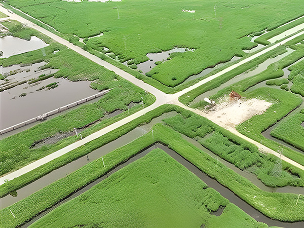 打(da)造綠色低碳(tan)油田 做綠色(sè)發展的“頂梁(liang)柱”